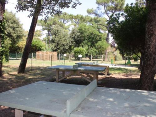 le Puits de l'Auture, family campingsite in Charente Maritime France Activities on the campsite